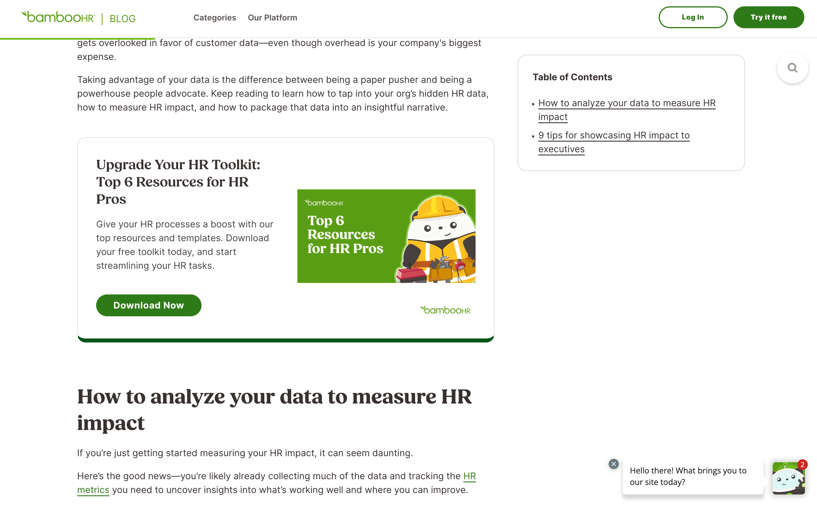Bamboo HR Resource