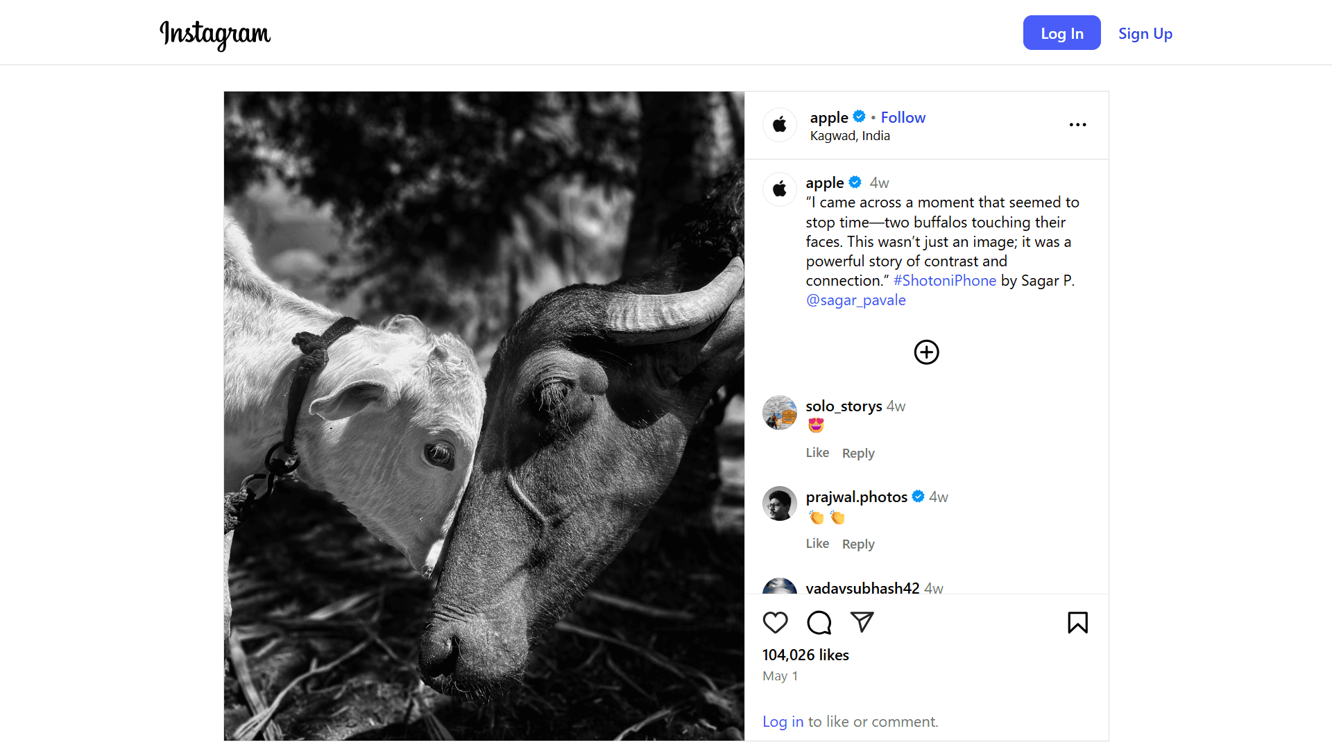 Apple Instagram Post