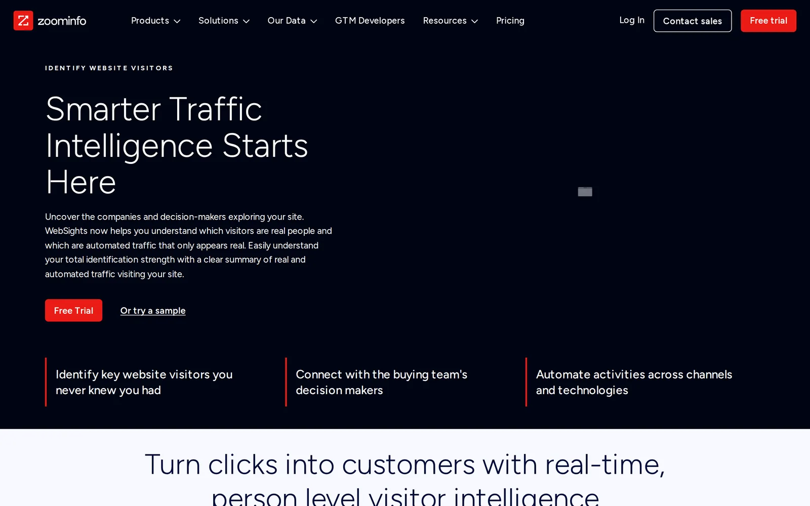 ZoomInfo WebSights page