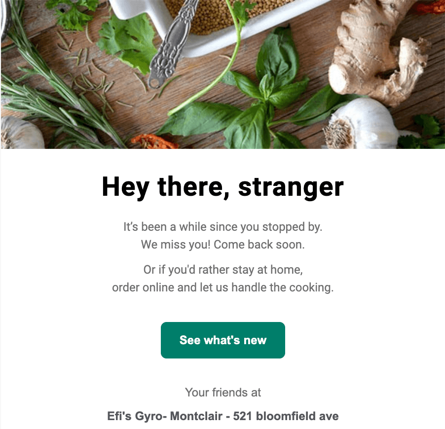 Efis Gyro Email Example