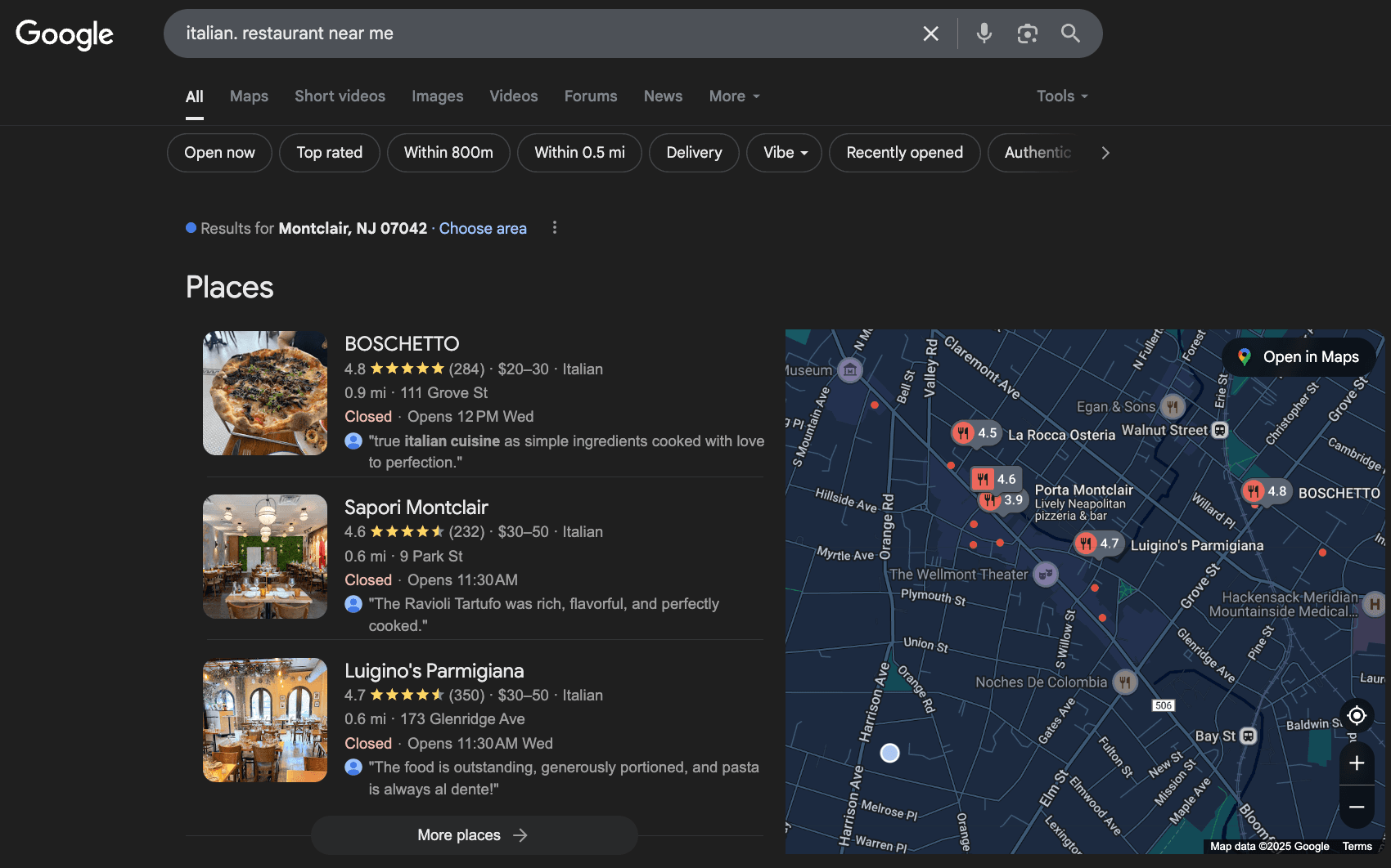 Google Local Business Results