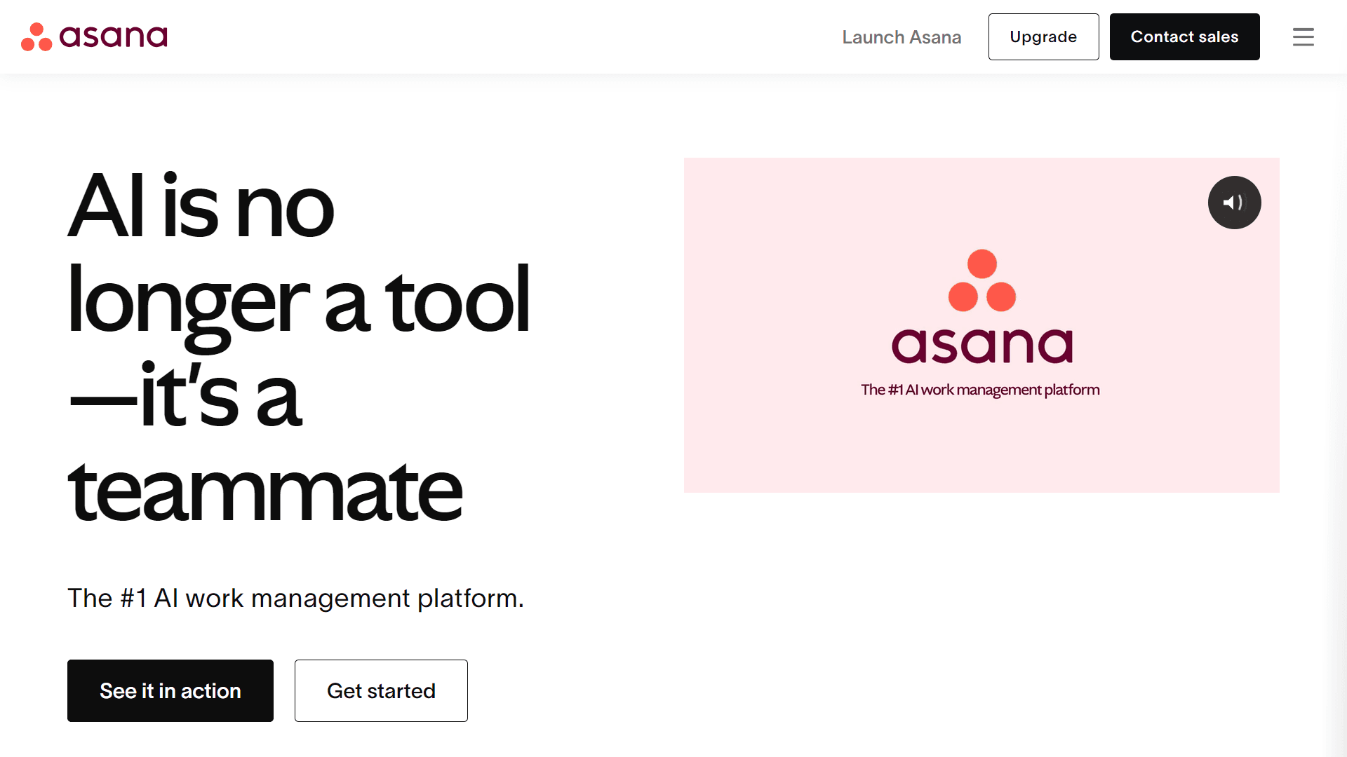 8. Asana