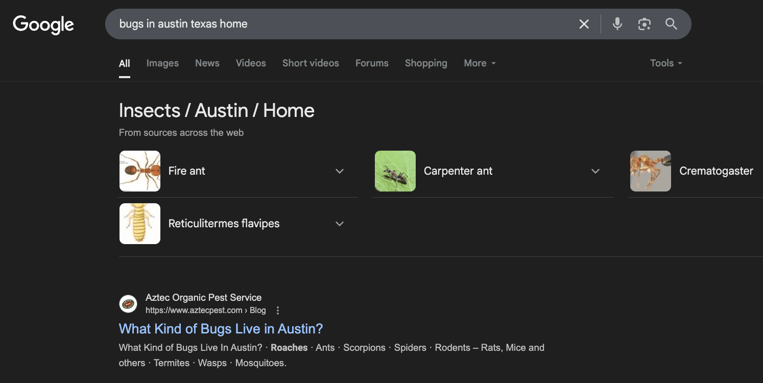 Bugs in Austin Search Query