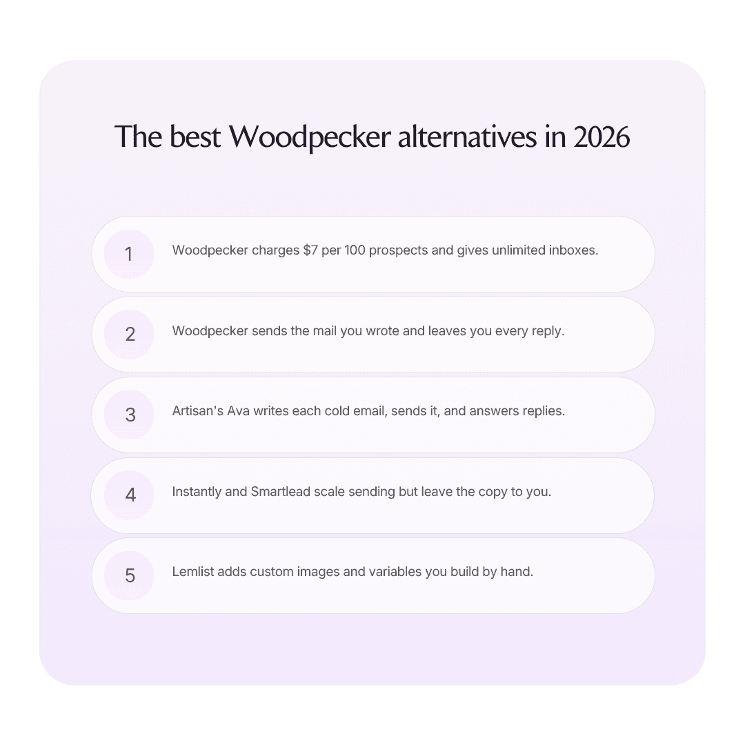 The best Woodpecker alternatives in 2026 infographic